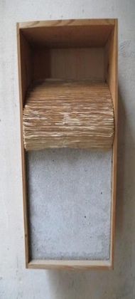259.jpg